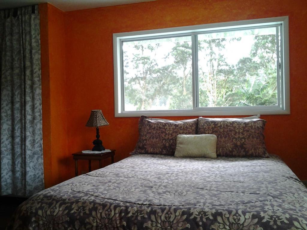 Lava Tree Tropic Inn Pahoa Zimmer foto